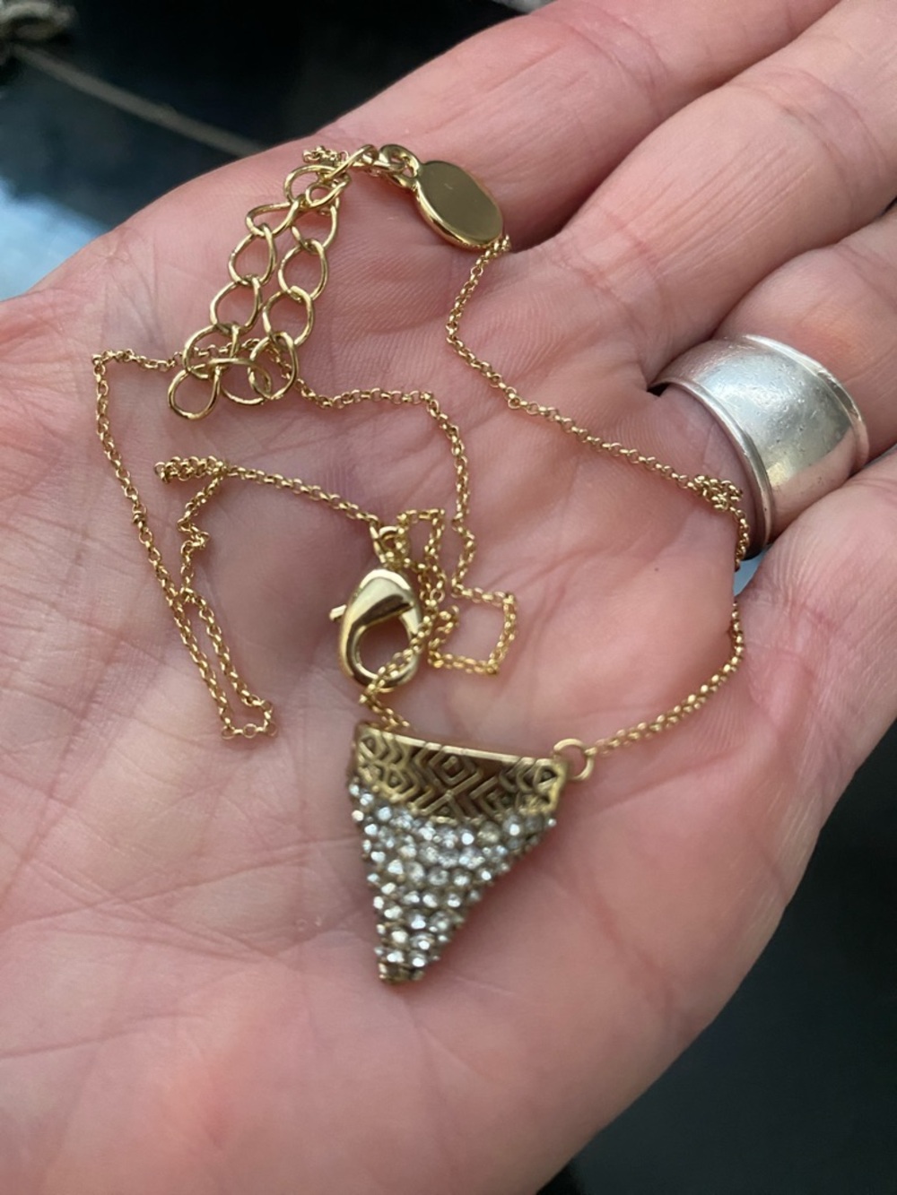 Shark tooth necklace!
